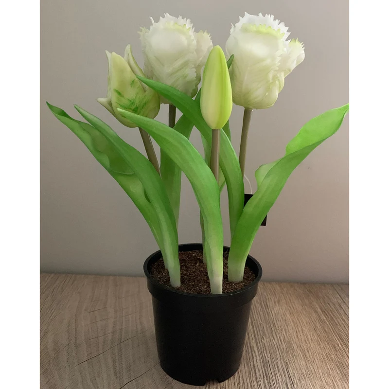 Tulpentopf „Barbados“ weiß